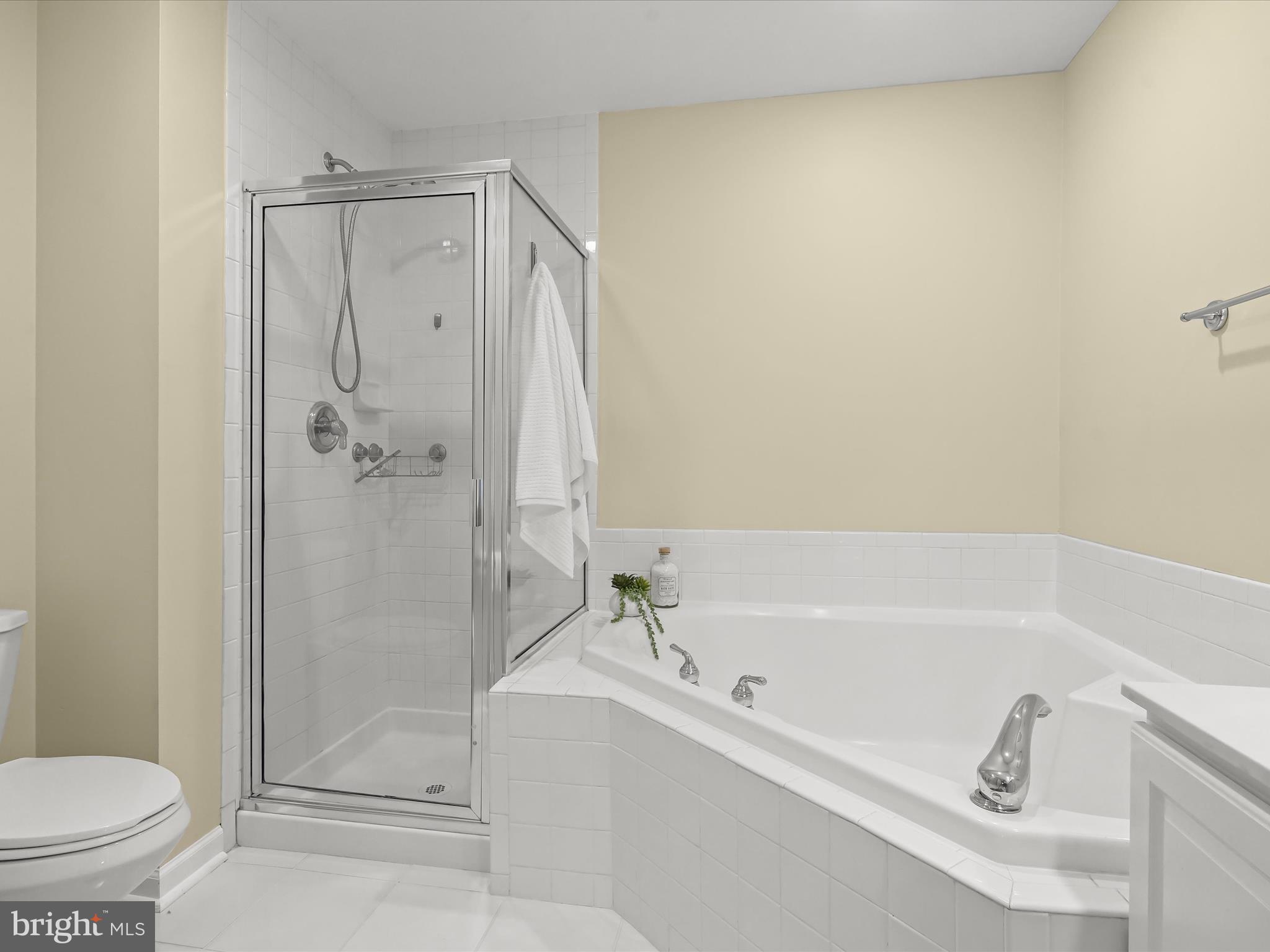 8515 Cameron Street Silver Spring, MD 20910 - Photo 16 of 43 Primary Bathroom