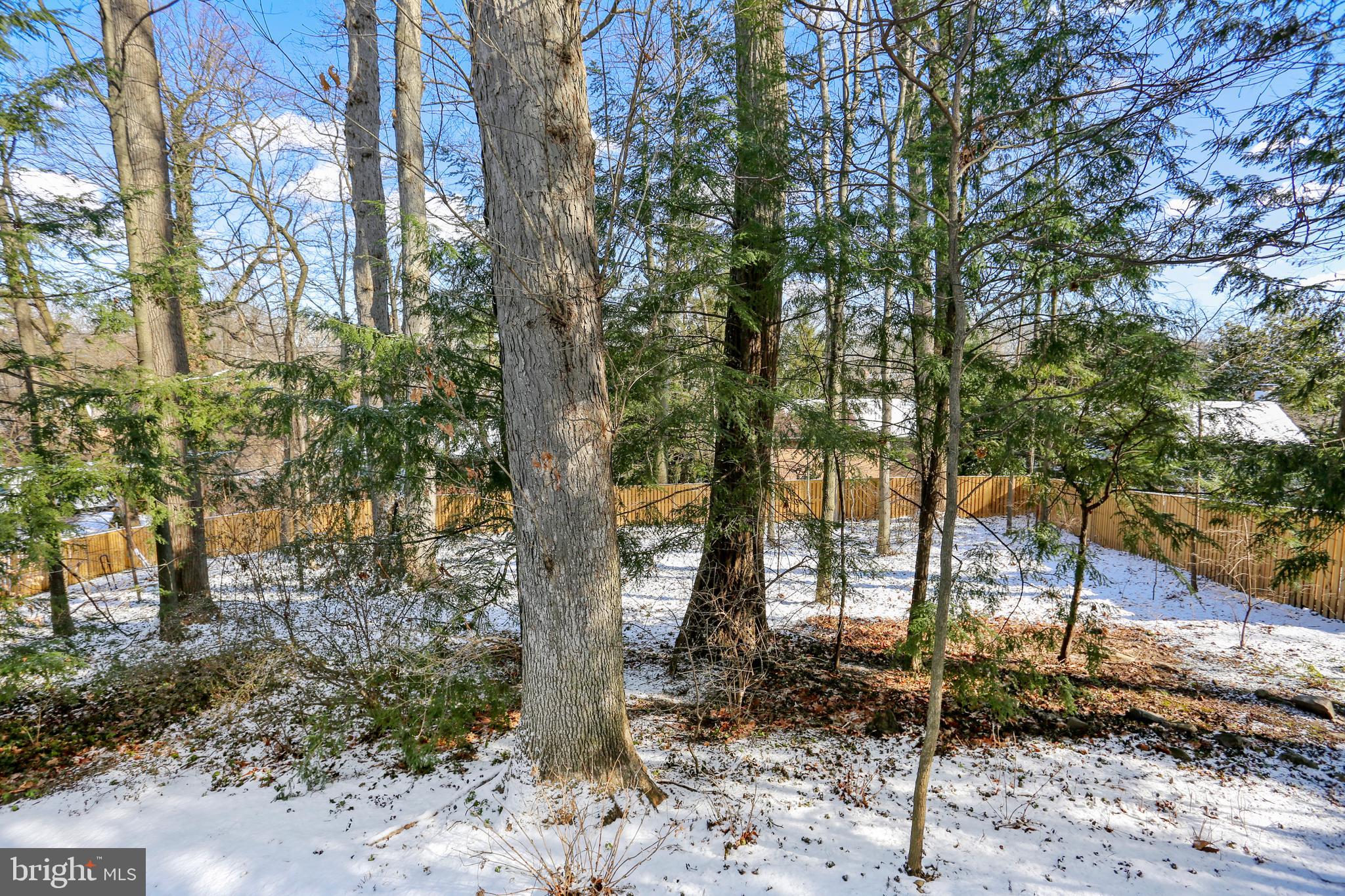 5409 Ridgefield Road Bethesda, MD 20816 - Photo 8 of 56