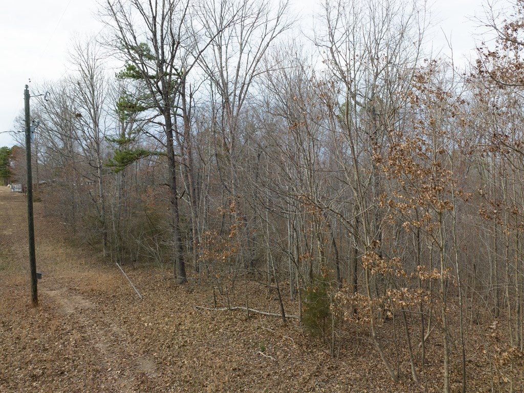 Farmview Road Farmville, VA 23901 - Photo 18 of 20 Gallery Image 18