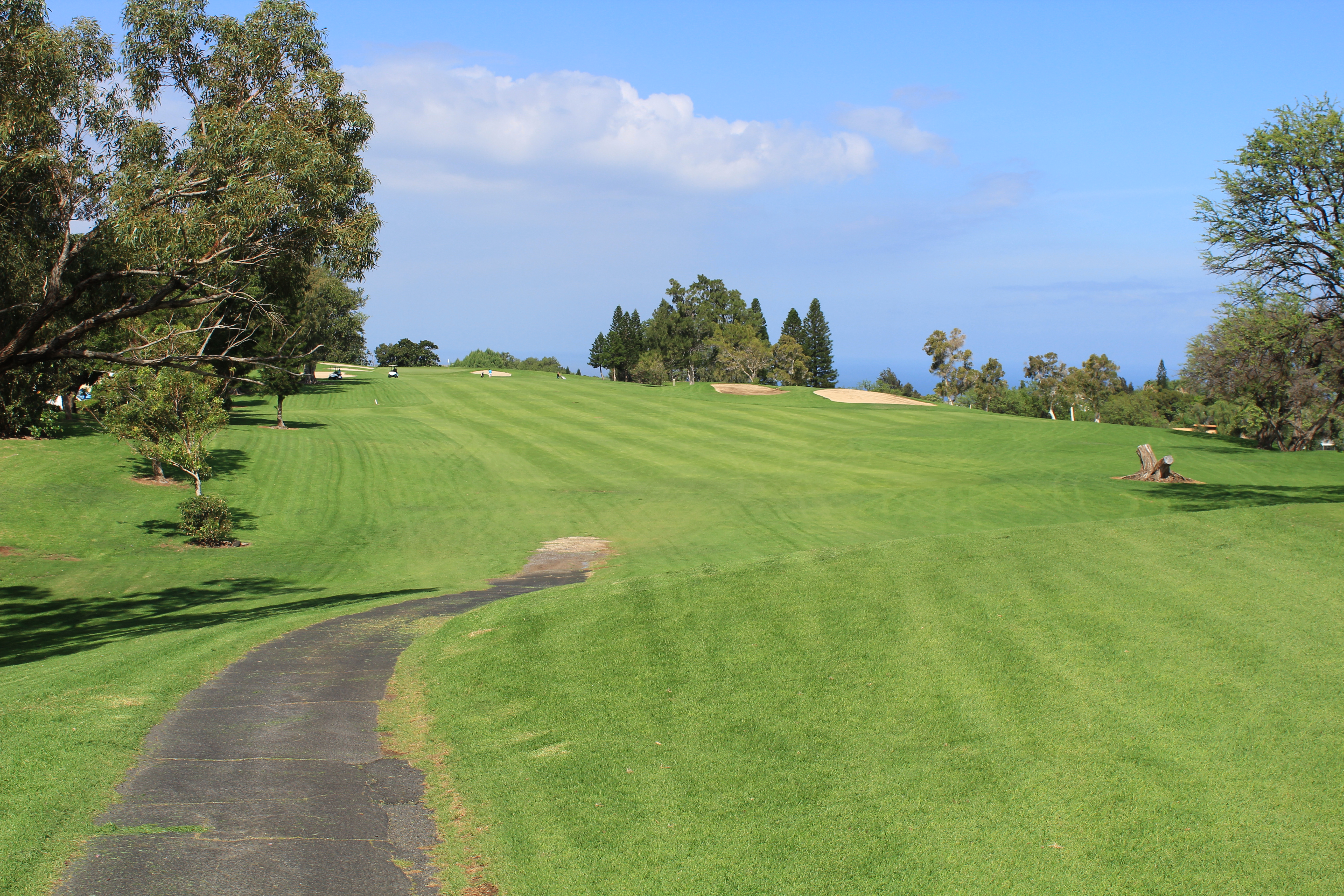 68-3831 Lua Kula Street, Unit L107 Waikoloa, HI 96738 - Photo 15 of 17 a view of a grassy area