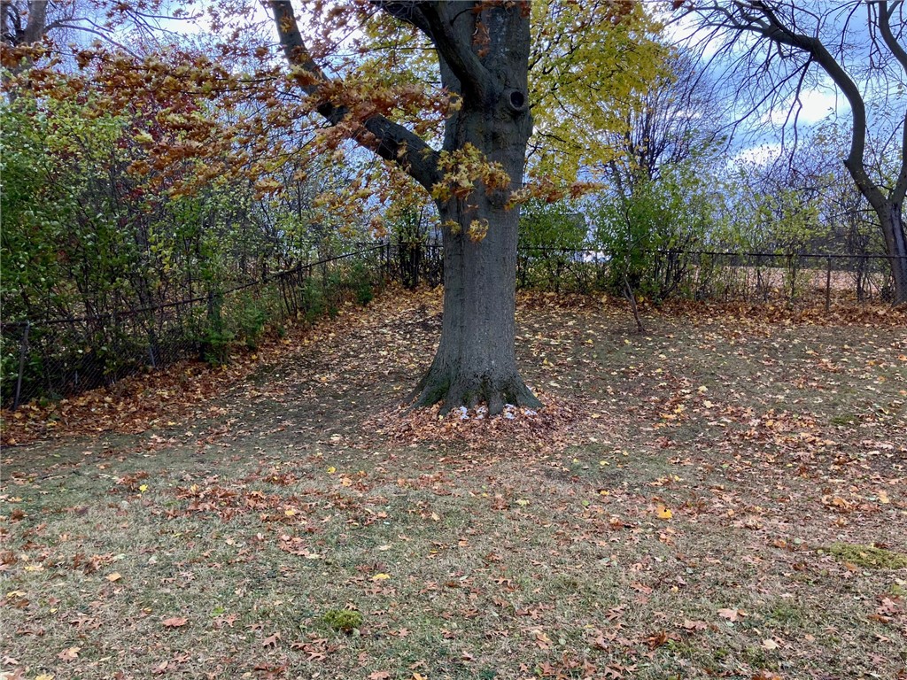 11 Deer Run Rochester, NY 14623 - Photo 7 of 29
Other view of yard.