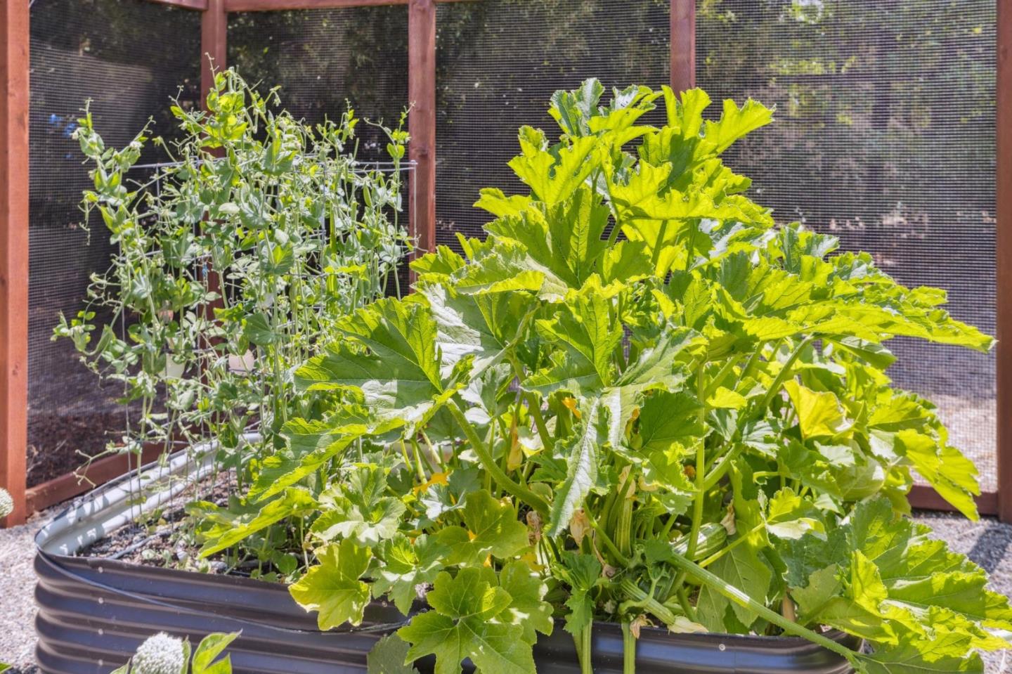 23583 Summit Road Los Gatos, CA 95033 - Photo 104 of 125