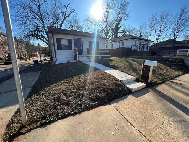 a view of a yard with a large tree
