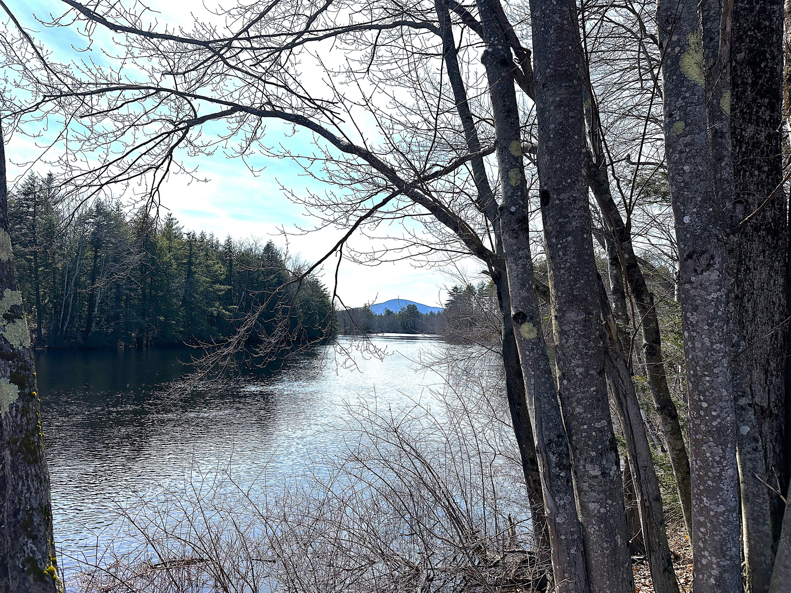 0 North Road Parsonsfield, ME 04047 - Photo 46 of 50 IMG_4917