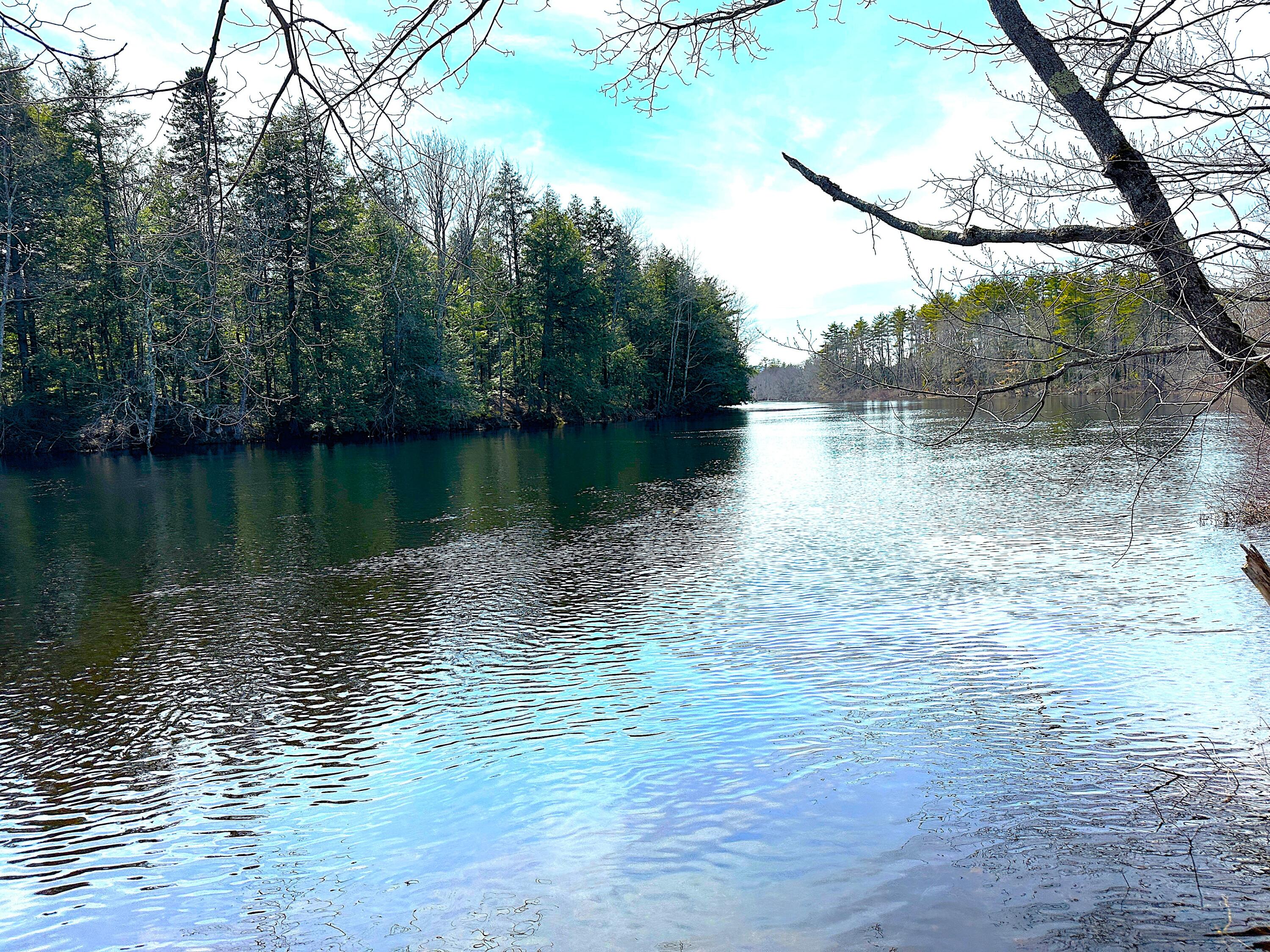 0 North Road Parsonsfield, ME 04047 - Photo 49 of 50 IMG_4921