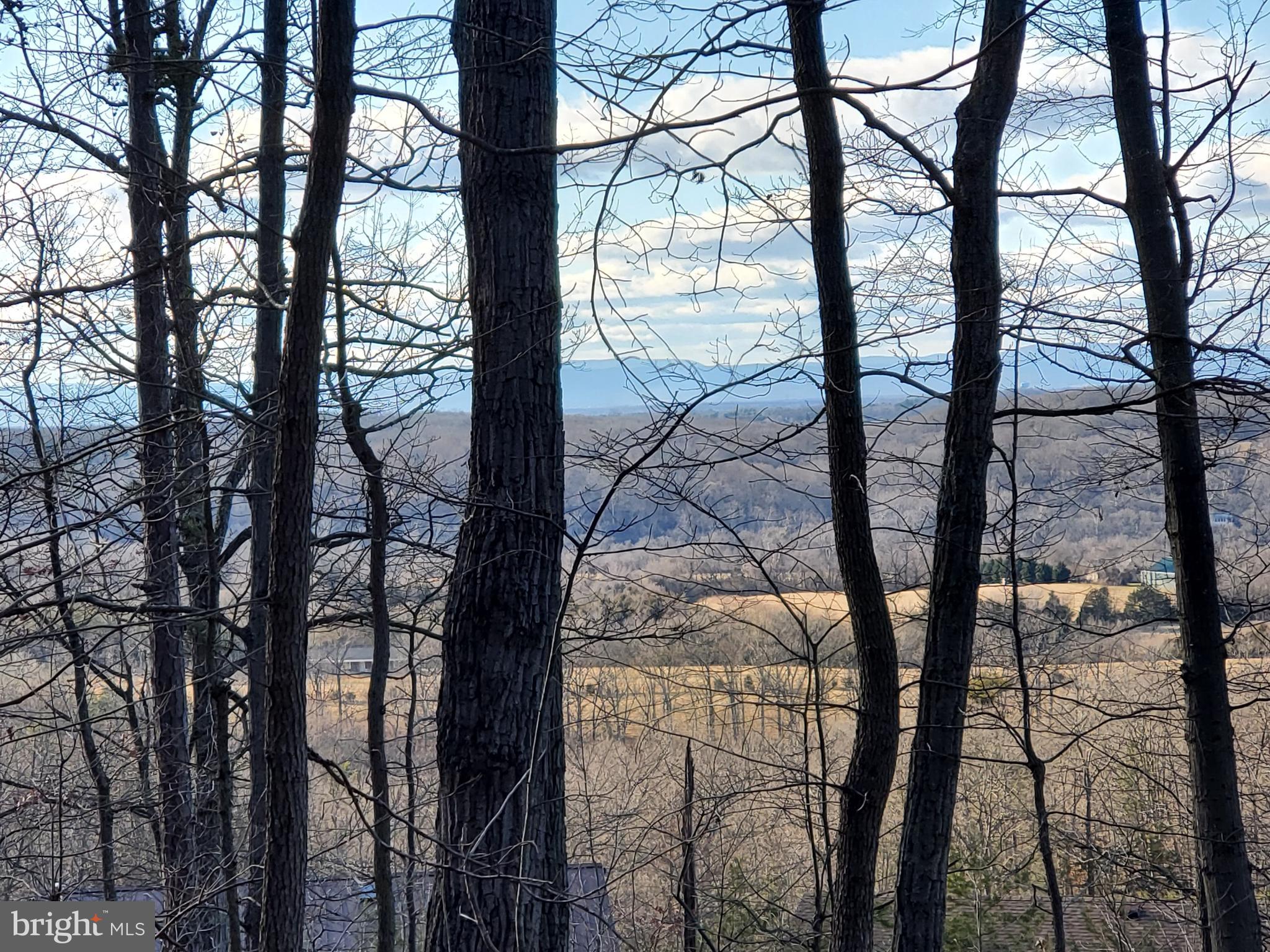 Lot 10 Rock Ridge Road Front Royal, VA 22630 - Photo 1 of 4