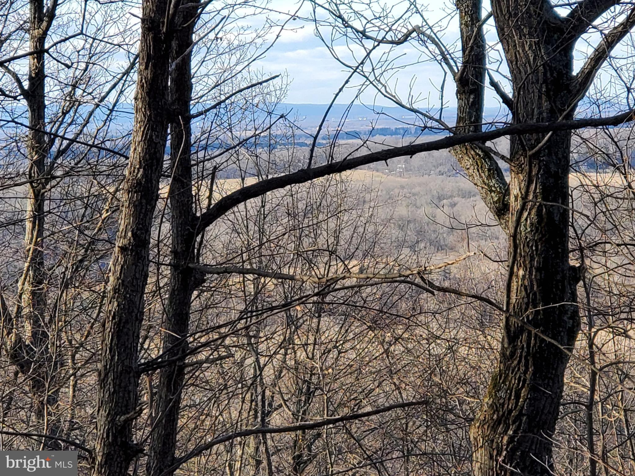 Lot 10 Rock Ridge Road Front Royal, VA 22630 - Photo 3 of 4