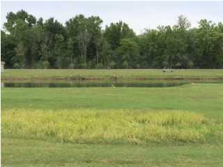 Lot 82 North Wilderness Road Port Barre, LA 70577 - Photo 3 of 9