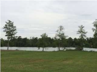Lot 82 North Wilderness Road Port Barre, LA 70577 - Photo 4 of 9