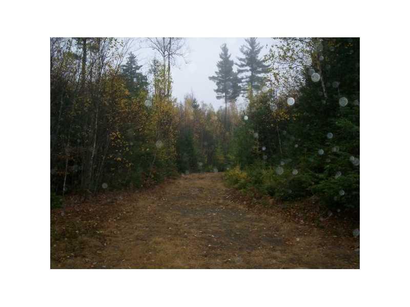 450 Smith Road Brownville, ME 04414 - Photo 3 of 4 Land/Lot.