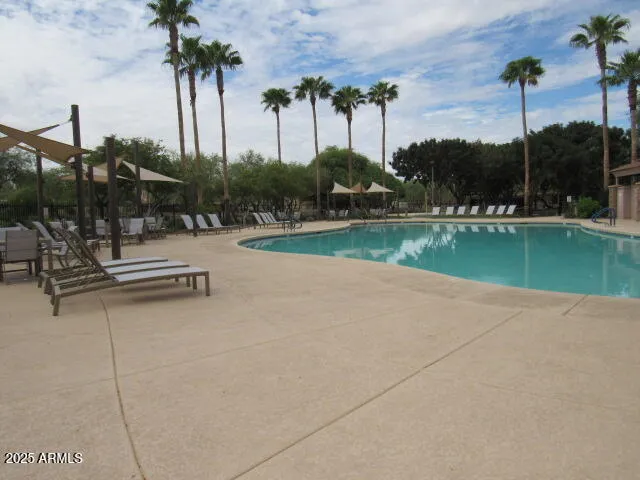 a view of a garden with swimming pool