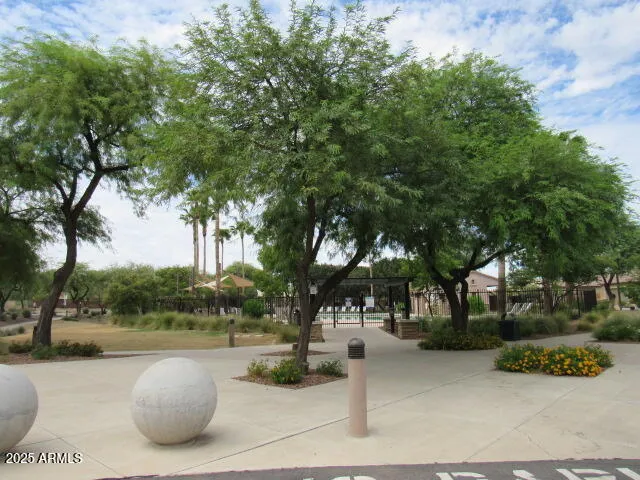 a view of a park with plants and trees