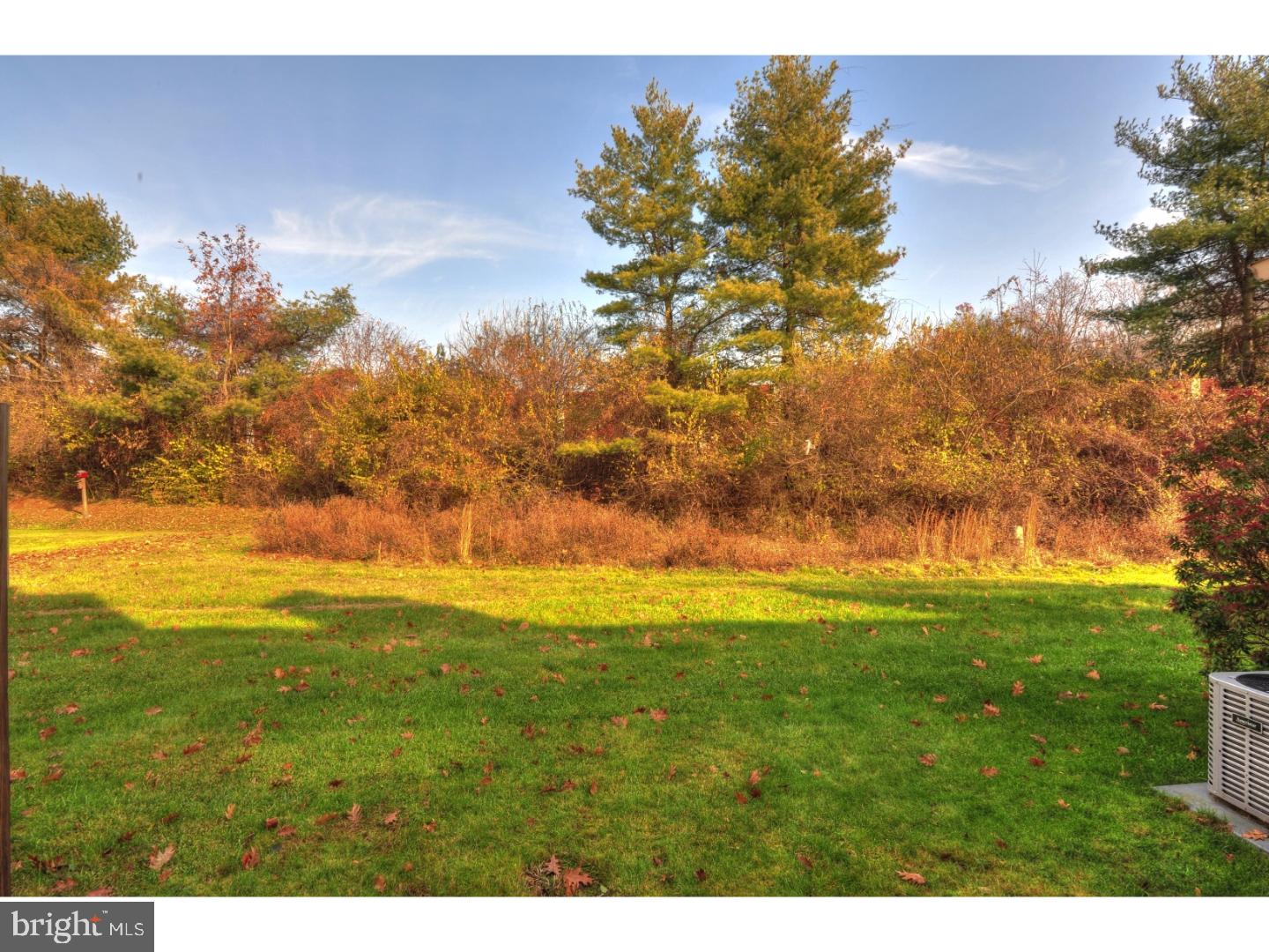 1704 Chippewa Ridge Ambler, PA 19002 - Photo 22 of 24 View in Back