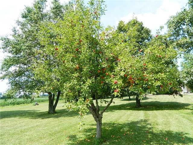 9020 Nioga-Toops Road Mount Sterling, OH 43143 - Photo 15 of 25
