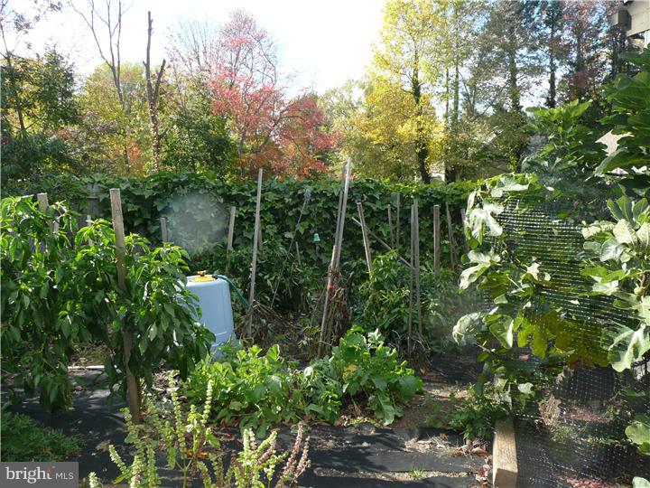 376 Welsh Road Huntingdon Valley, PA 19006 - Photo 24 of 24