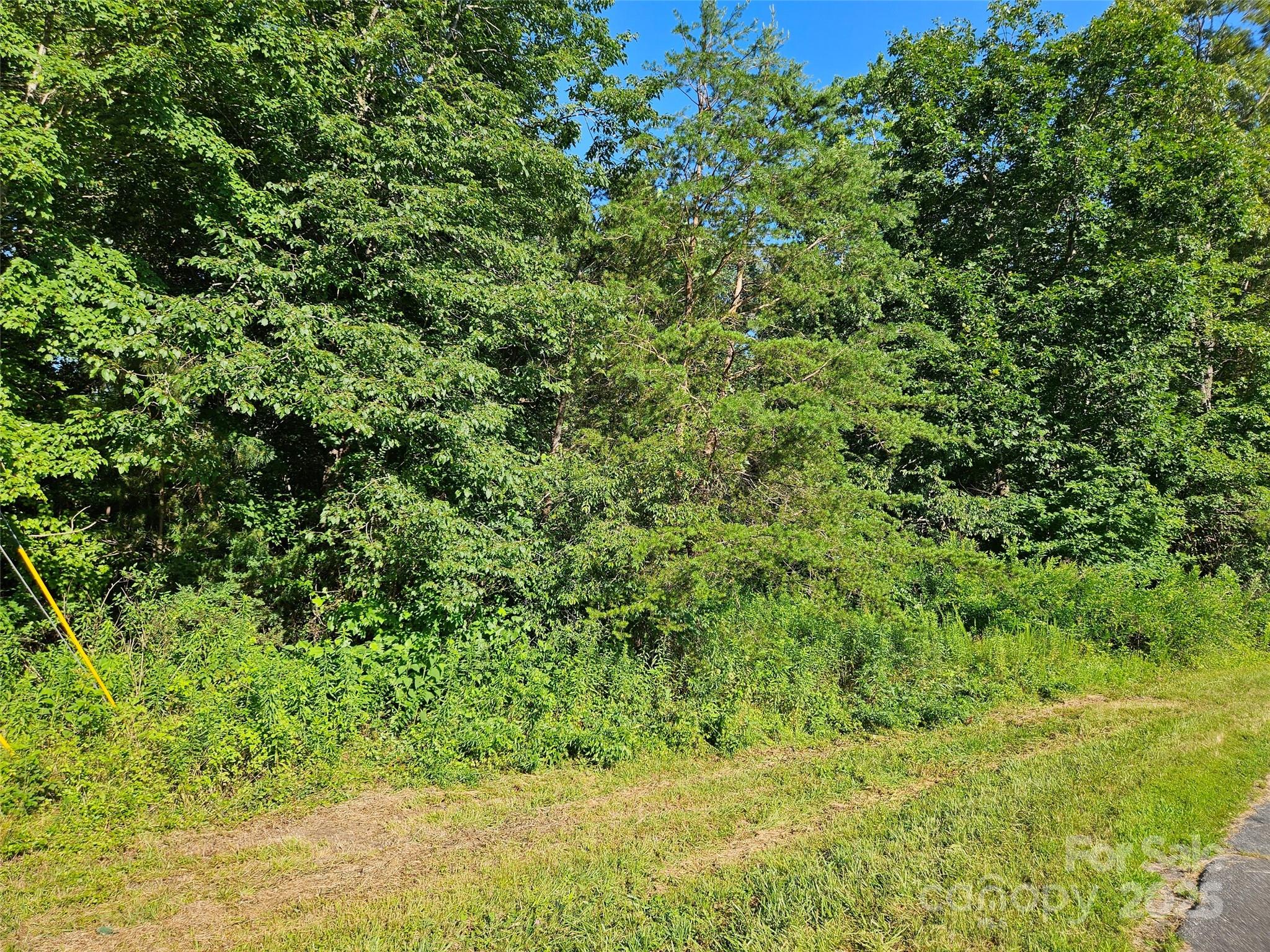0 Bobby McKinney Road Union Mills, NC 28167 - Photo 15 of 18 a view of a garden