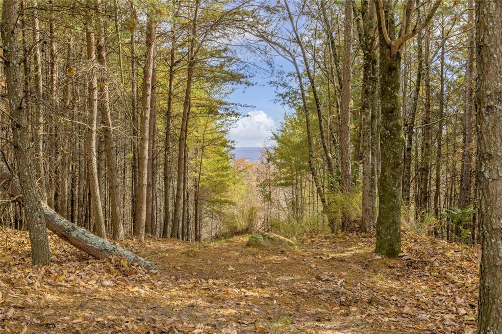 0 Eagle Ridge Trail Cleveland, GA 30528 - Photo 27 of 28