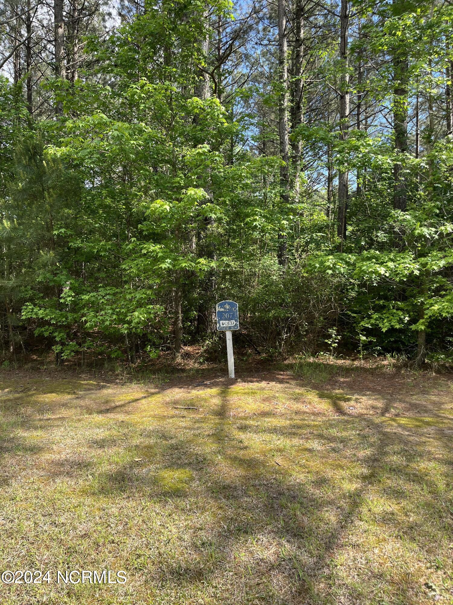 404 Plumtree Circle Edenton, NC 27932 - Photo 7 of 11 Lot 207