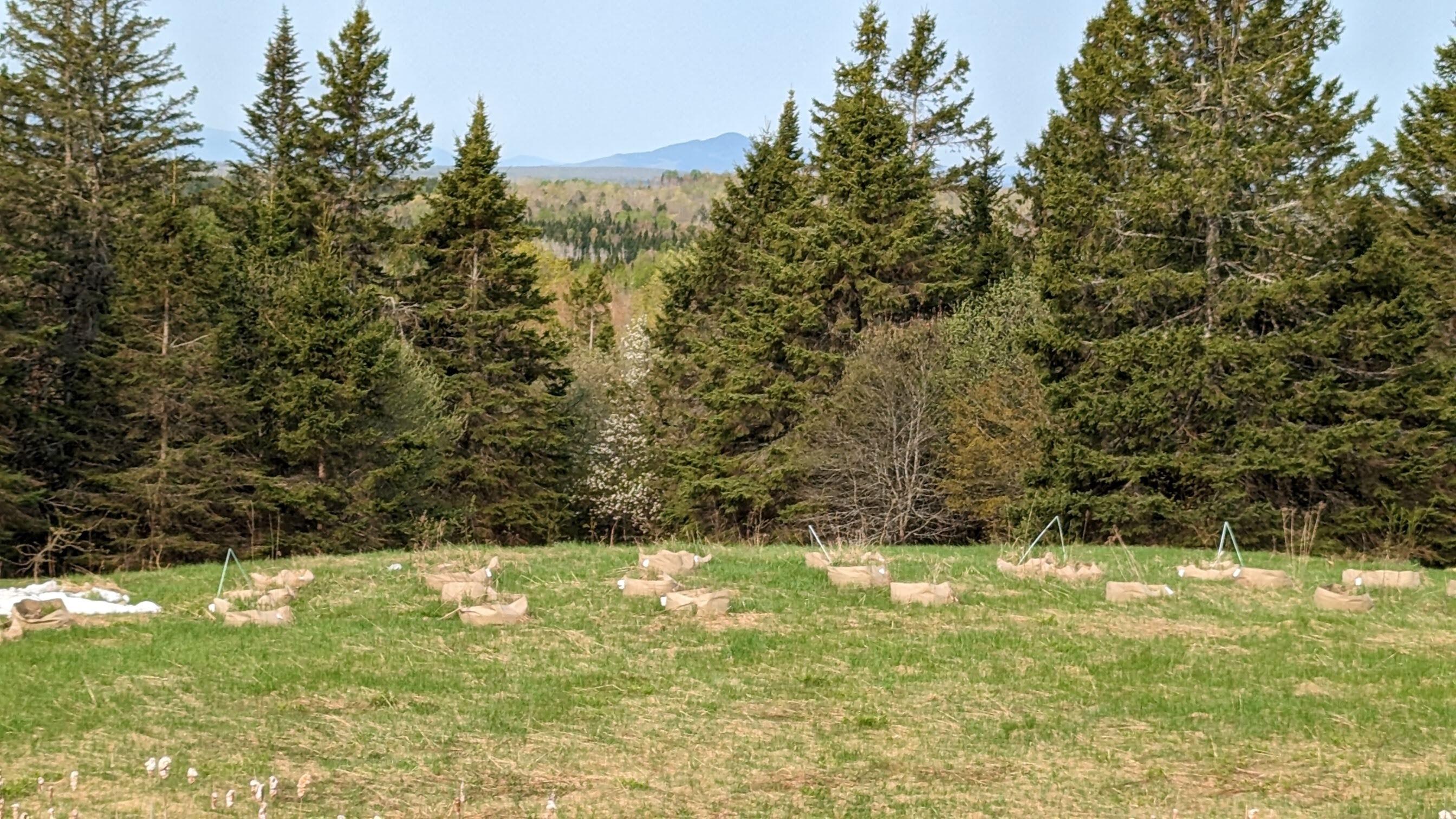 627 Smyrna Center Road Smyrna, ME 04780 - Photo 13 of 21 PXL_20230519_124305929