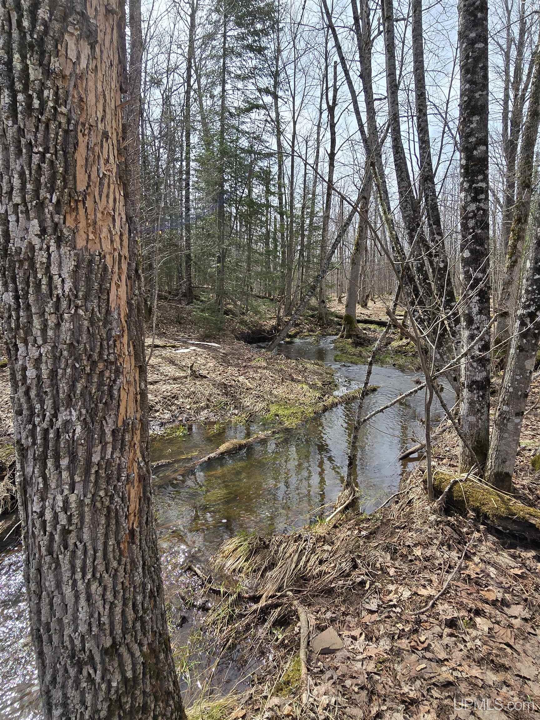 Tbd Woodspur Road Ontonagon, MI 49953 - Photo 2 of 46
