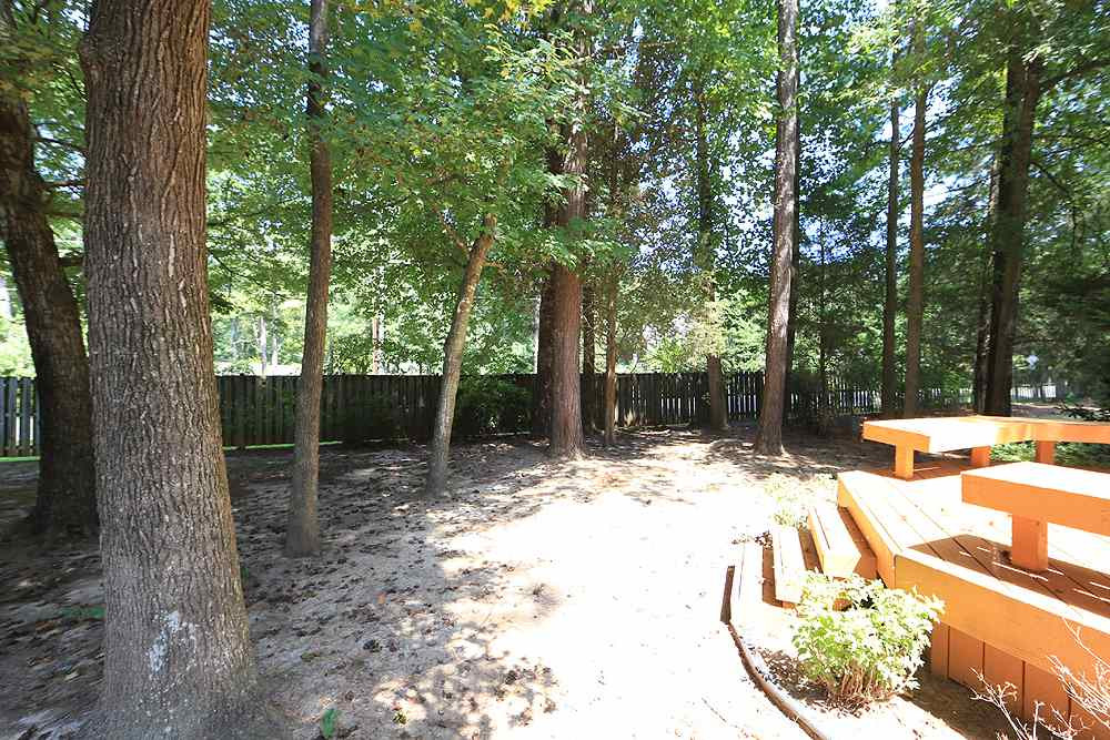 10100 Goodview Court Raleigh, NC 27613 - Photo 14 of 17 Back yard/deck
