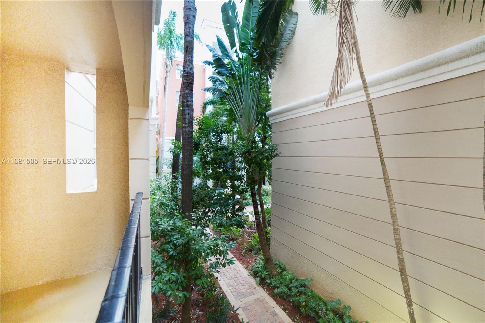 17145 North Bay Road, Unit 4203 Sunny Isles Beach, FL 33160 - Photo 25 of 50 a potted plant sitting in front of a window