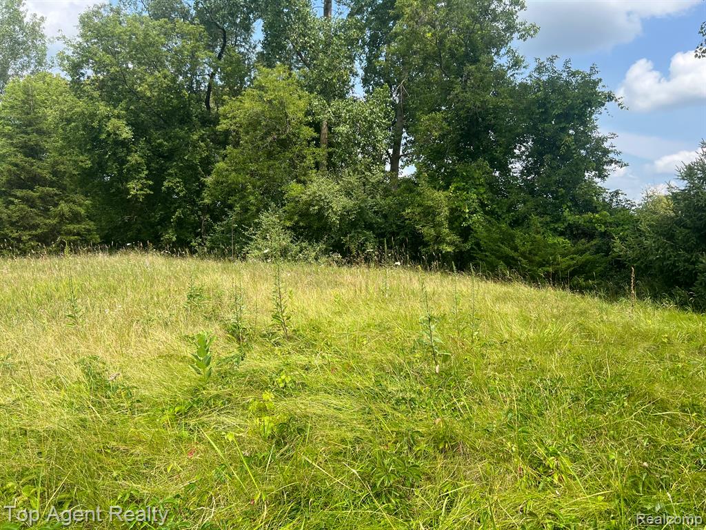0 Shrewsbury Drive Clarkston, MI 48348 - Photo 1 of 6