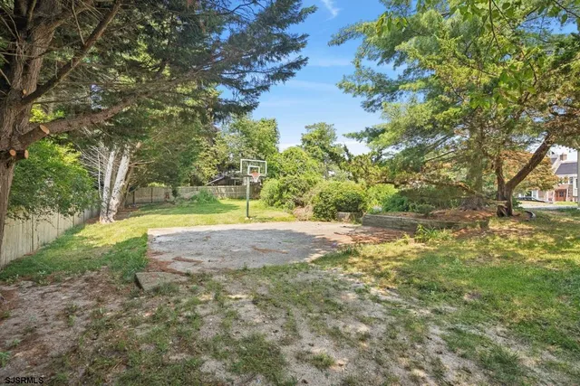 a view of yard with trees