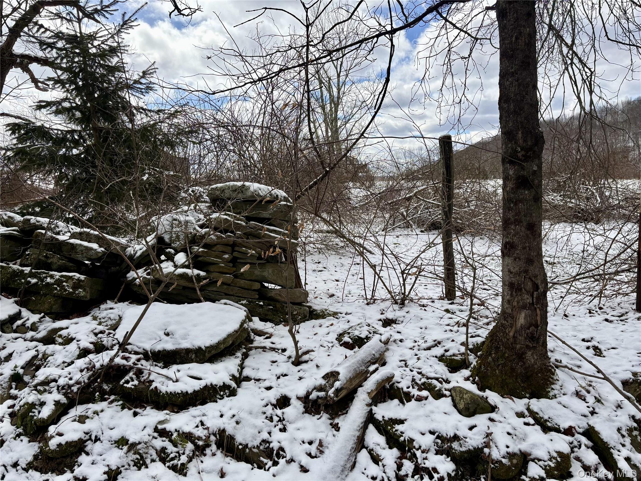 14 Frelich Rd/t R 28 Fremont Center, NY 12736 - Photo 44 of 47