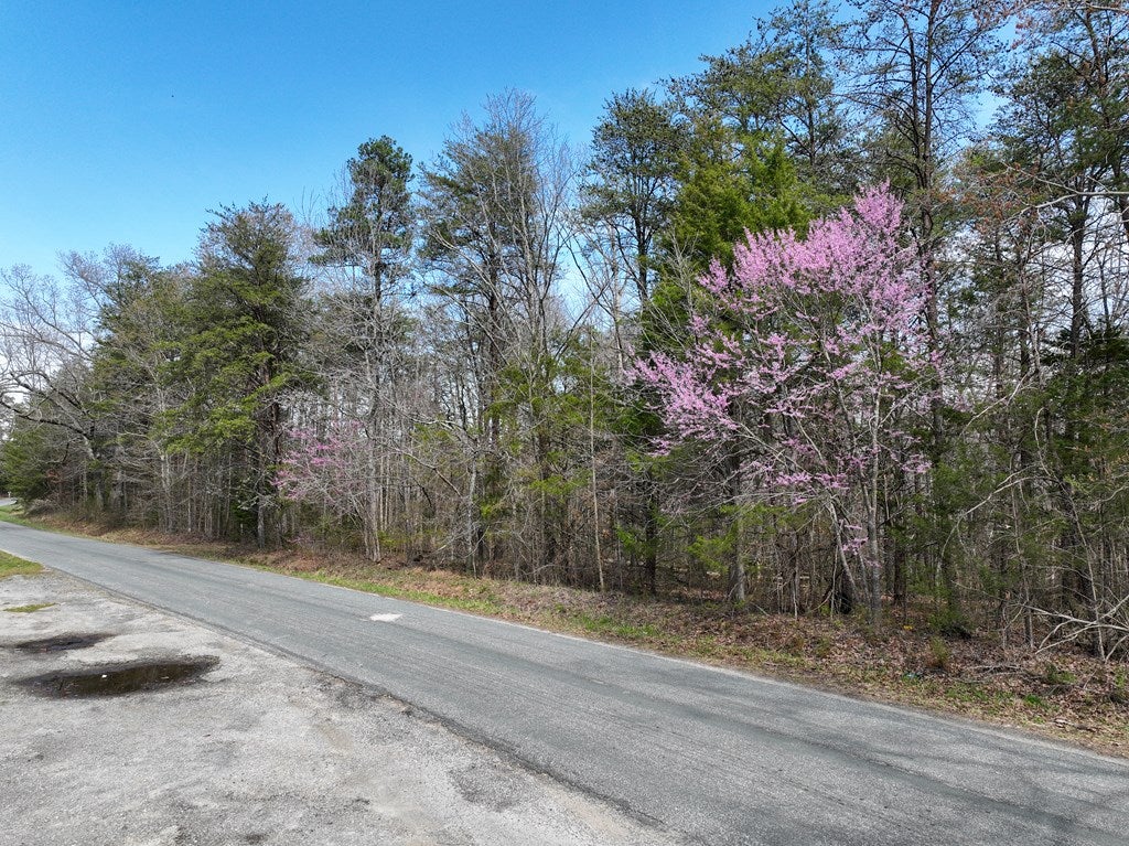 0 Harvey Road Phenix, VA 23959 - Photo 13 of 14 Gallery Image 13