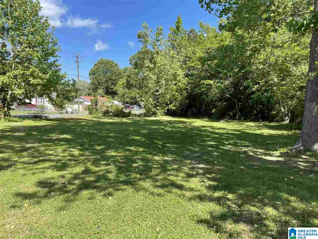 527 Valley Road Oneonta, AL 35121 - Photo 4 of 5