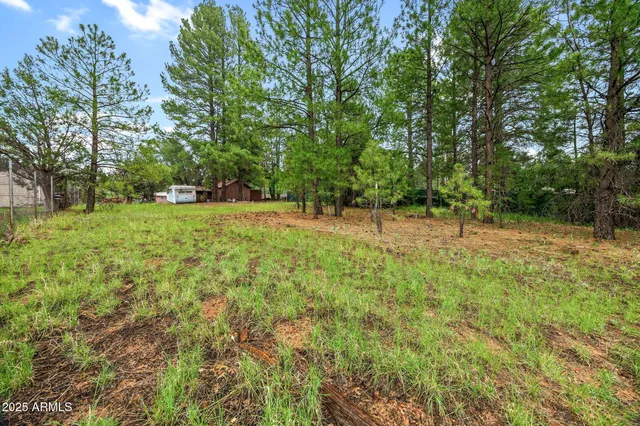 a big yard with lots of green space and deers