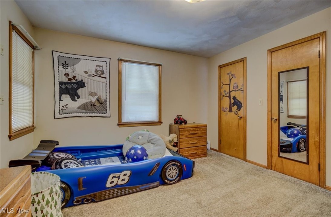 12698 Baird Road Oberlin, OH 44074 - Photo 16 of 37 Gallery Image 16