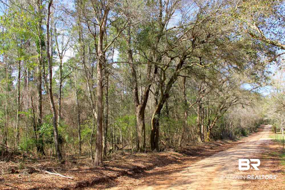 0 County Road 49 Loxley, AL 36551 - Photo 5 of 33