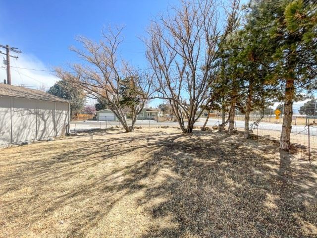216 Valley Road Bishop, CA 93514 - Photo 3 of 27 a view of yard with tree