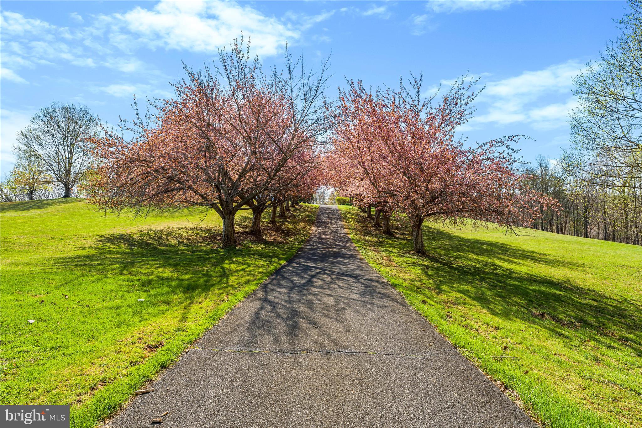 3033 Averley Road Ijamsville, MD 21754 - Photo 11 of 115 a view of park with large trees