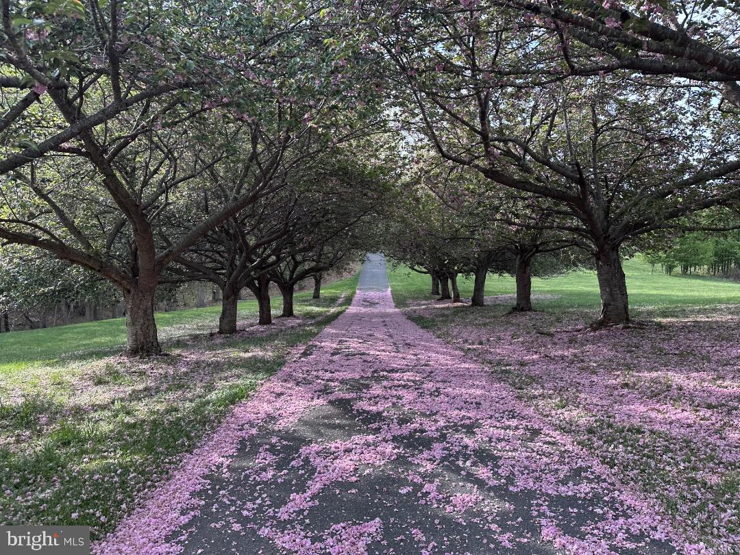 3033 Averley Road Ijamsville, MD 21754 - Photo 112 of 115