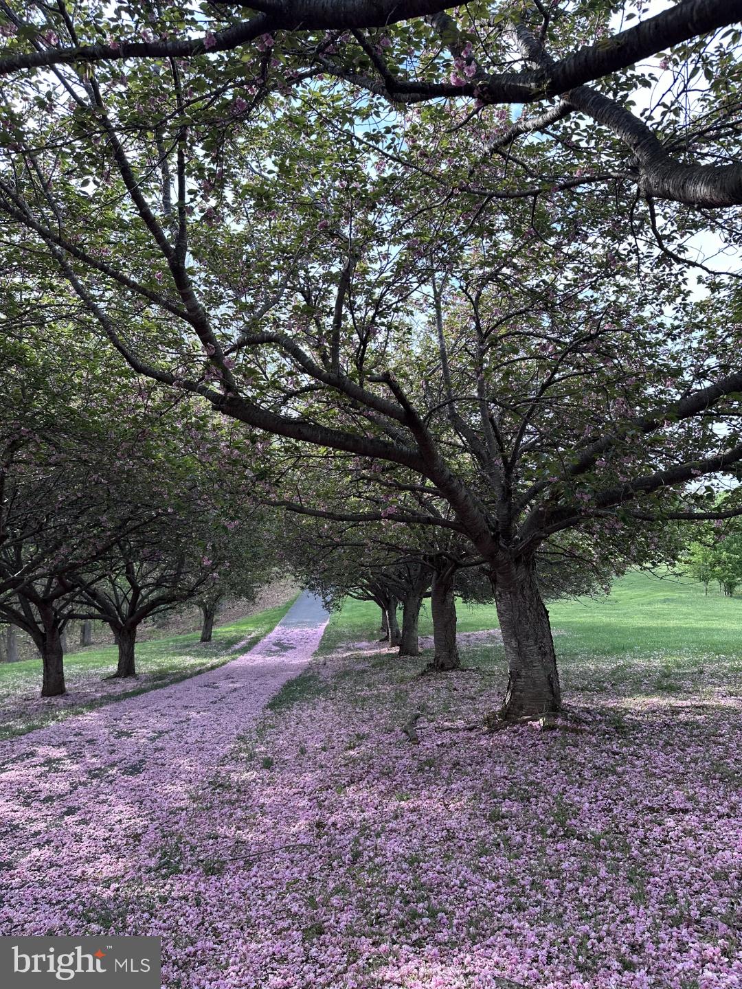 3033 Averley Road Ijamsville, MD 21754 - Photo 113 of 115