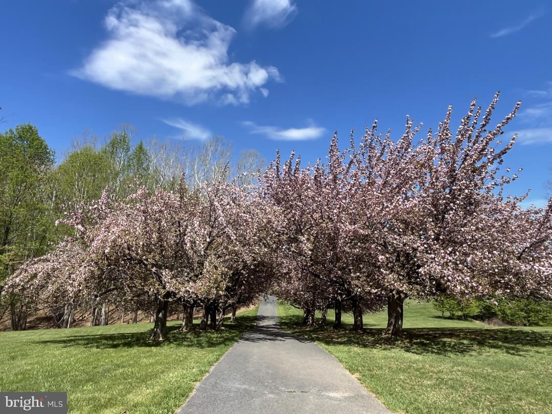 3033 Averley Road Ijamsville, MD 21754 - Photo 114 of 115