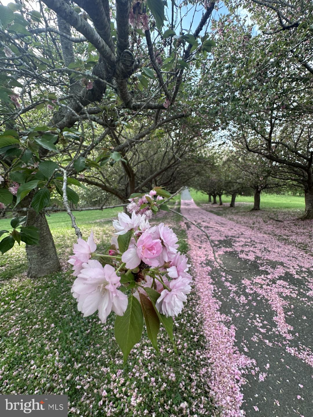 3033 Averley Road Ijamsville, MD 21754 - Photo 115 of 115