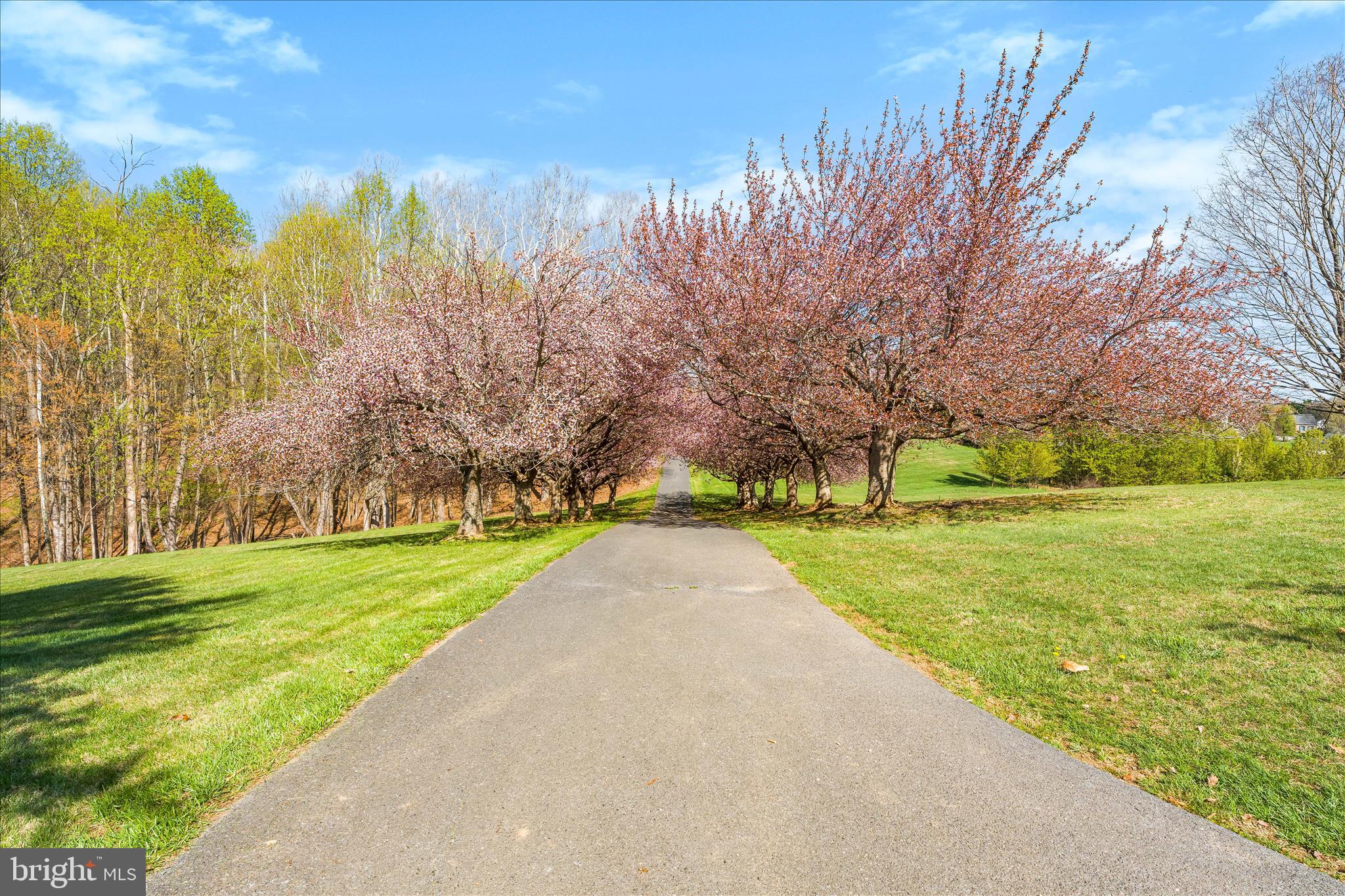 3033 Averley Road Ijamsville, MD 21754 - Photo 12 of 115 a view of a park with large trees