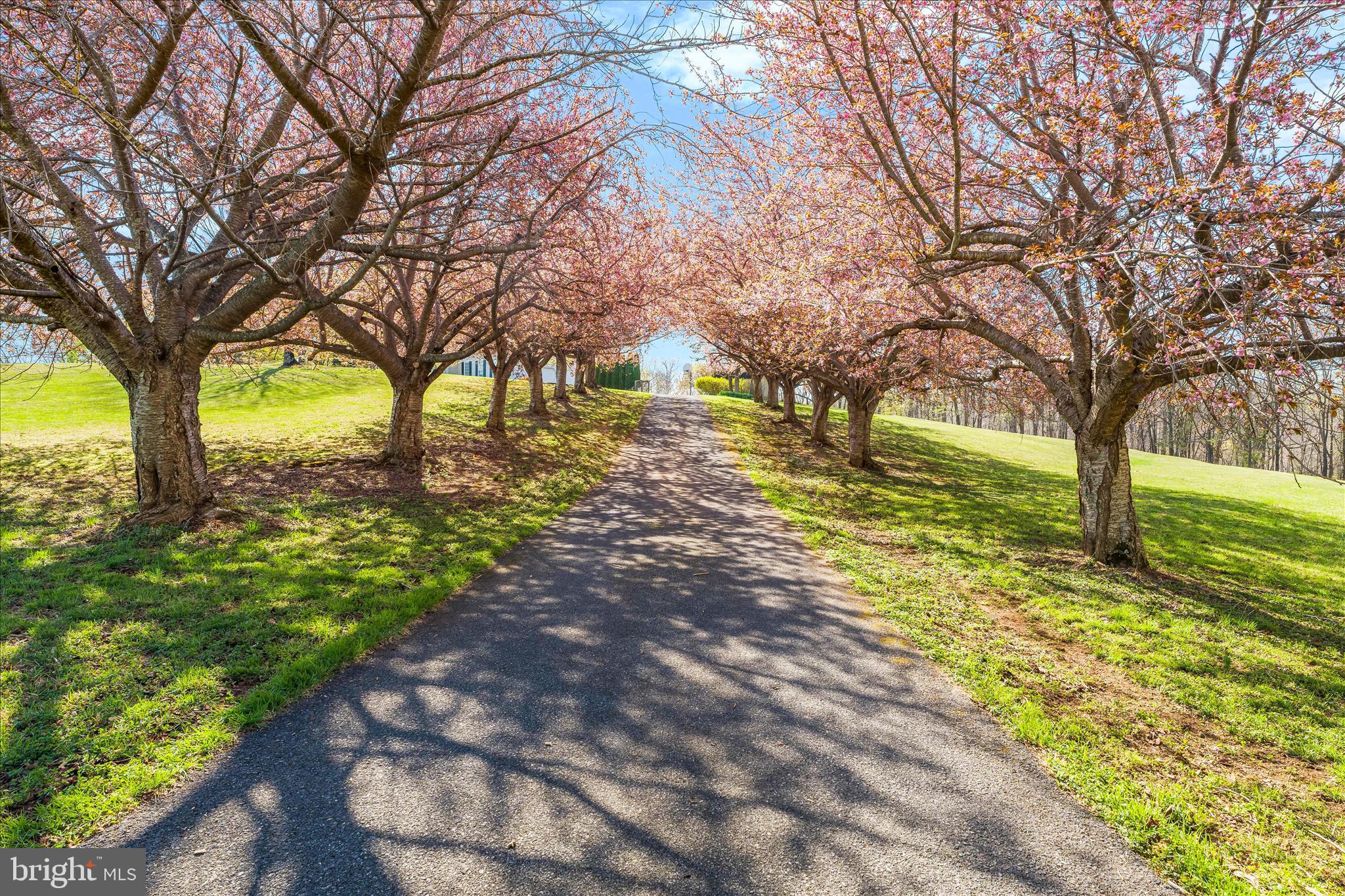 3033 Averley Road Ijamsville, MD 21754 - Photo 2 of 115 a view of a yard with a tree