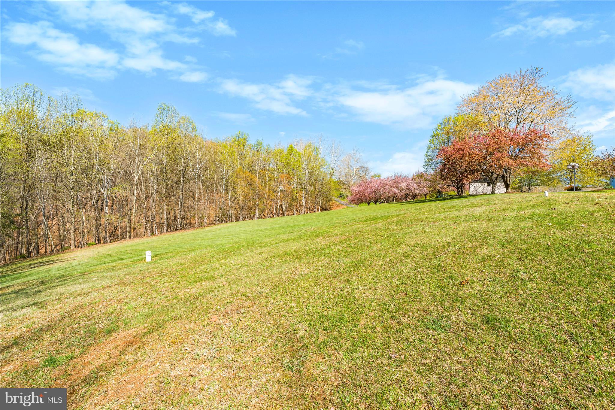 3033 Averley Road Ijamsville, MD 21754 - Photo 33 of 115