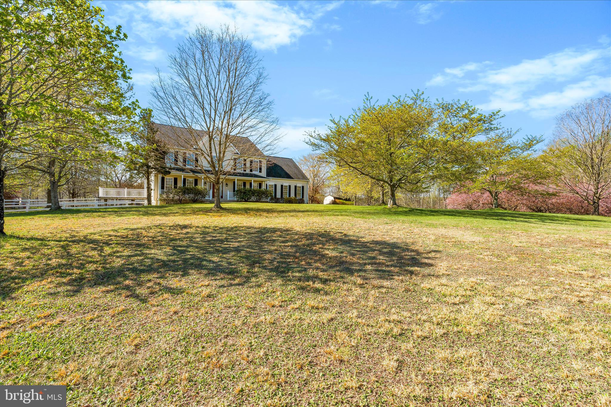 3033 Averley Road Ijamsville, MD 21754 - Photo 7 of 115 a view of a large trees with a big yard