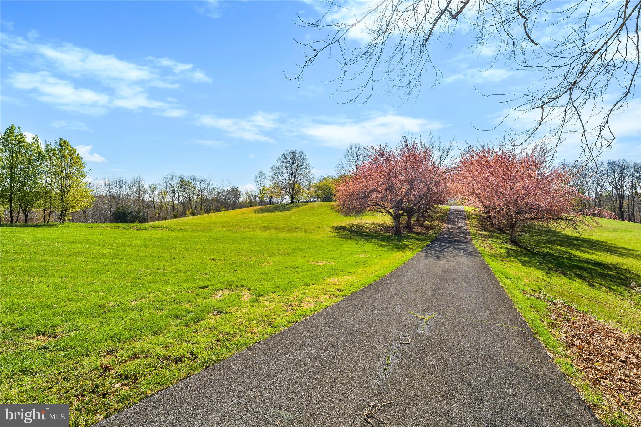 3033 Averley Road Ijamsville, MD 21754 - Photo 10 of 115 a view of a yard with a house