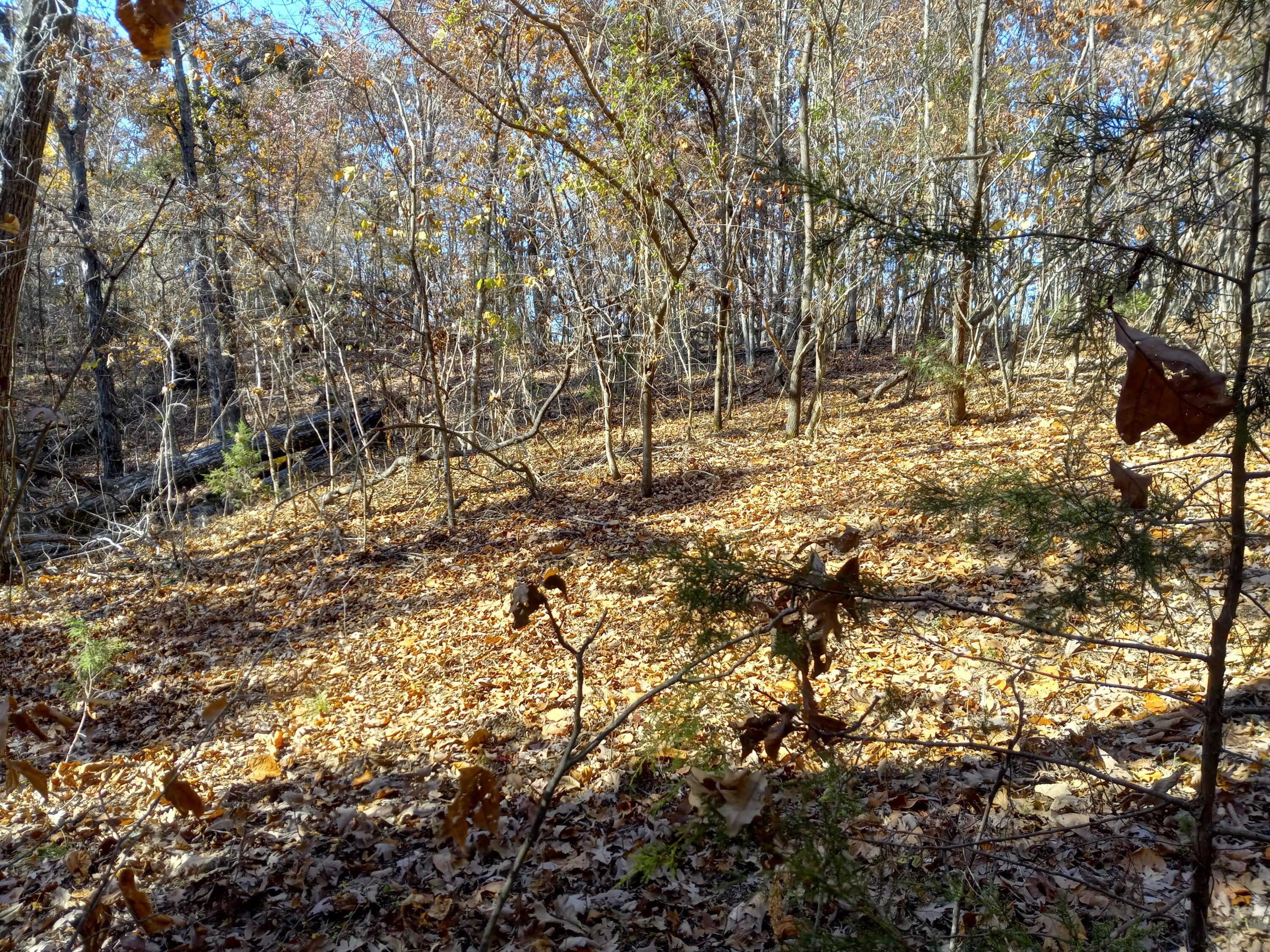 353 Bill West Road, Unit TR4 Limestone, TN 37681 - Photo 14 of 32 20231107_104632