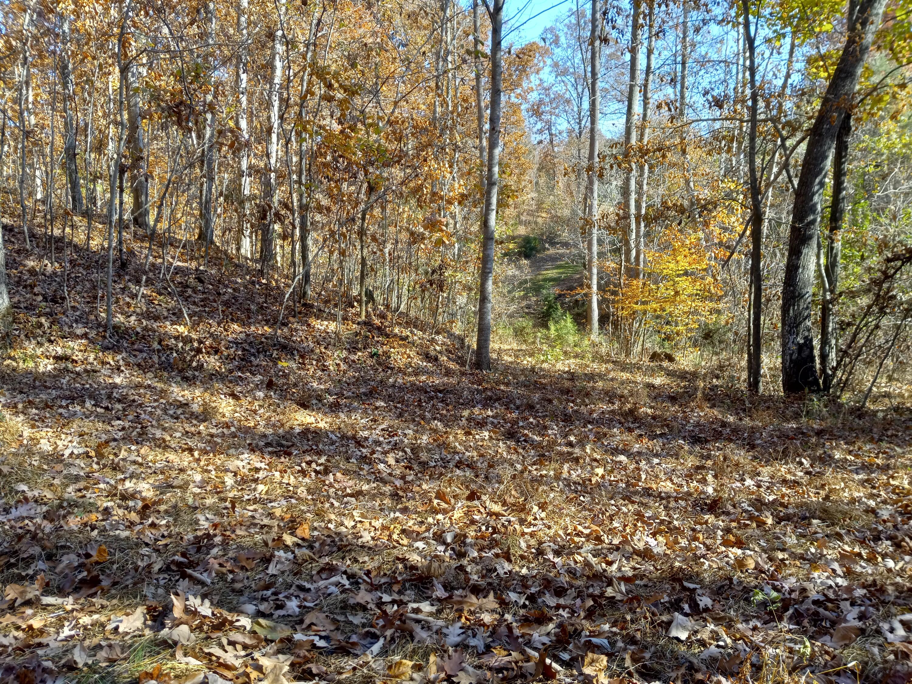 353 Bill West Road, Unit TR4 Limestone, TN 37681 - Photo 18 of 32 20231107_112303