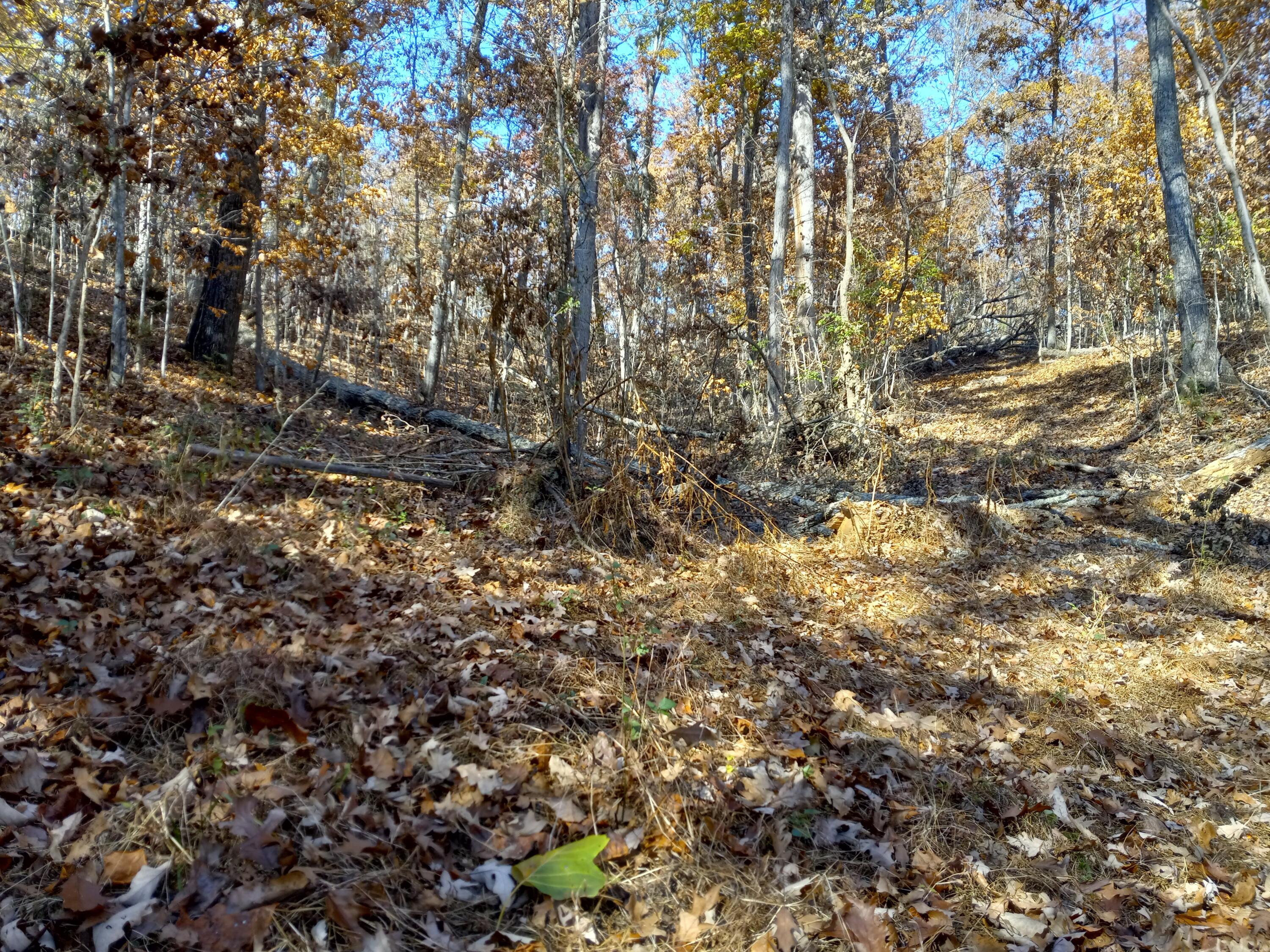353 Bill West Road, Unit TR4 Limestone, TN 37681 - Photo 19 of 32 20231107_112313