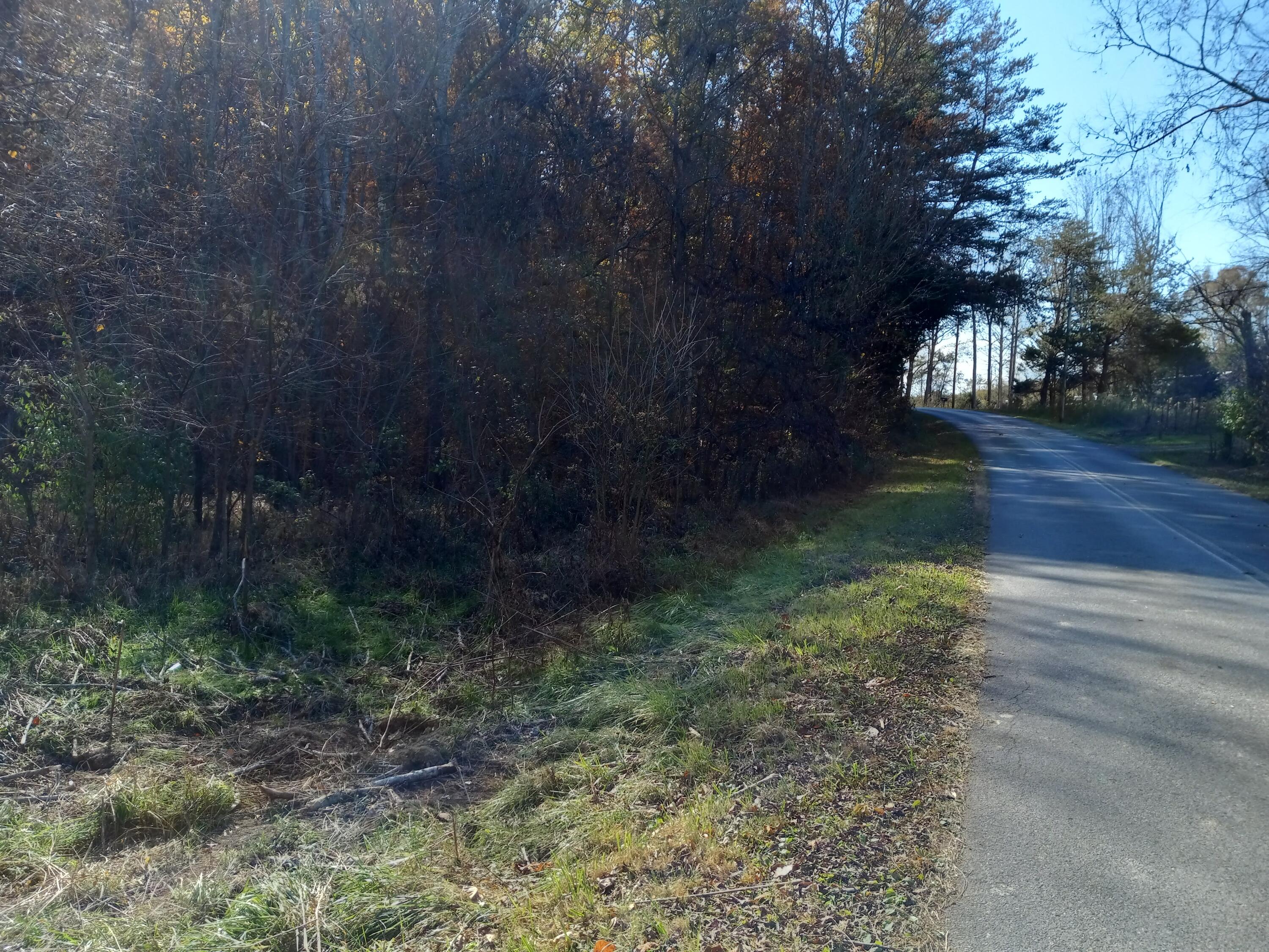 353 Bill West Road, Unit TR4 Limestone, TN 37681 - Photo 23 of 32 20231107_113734