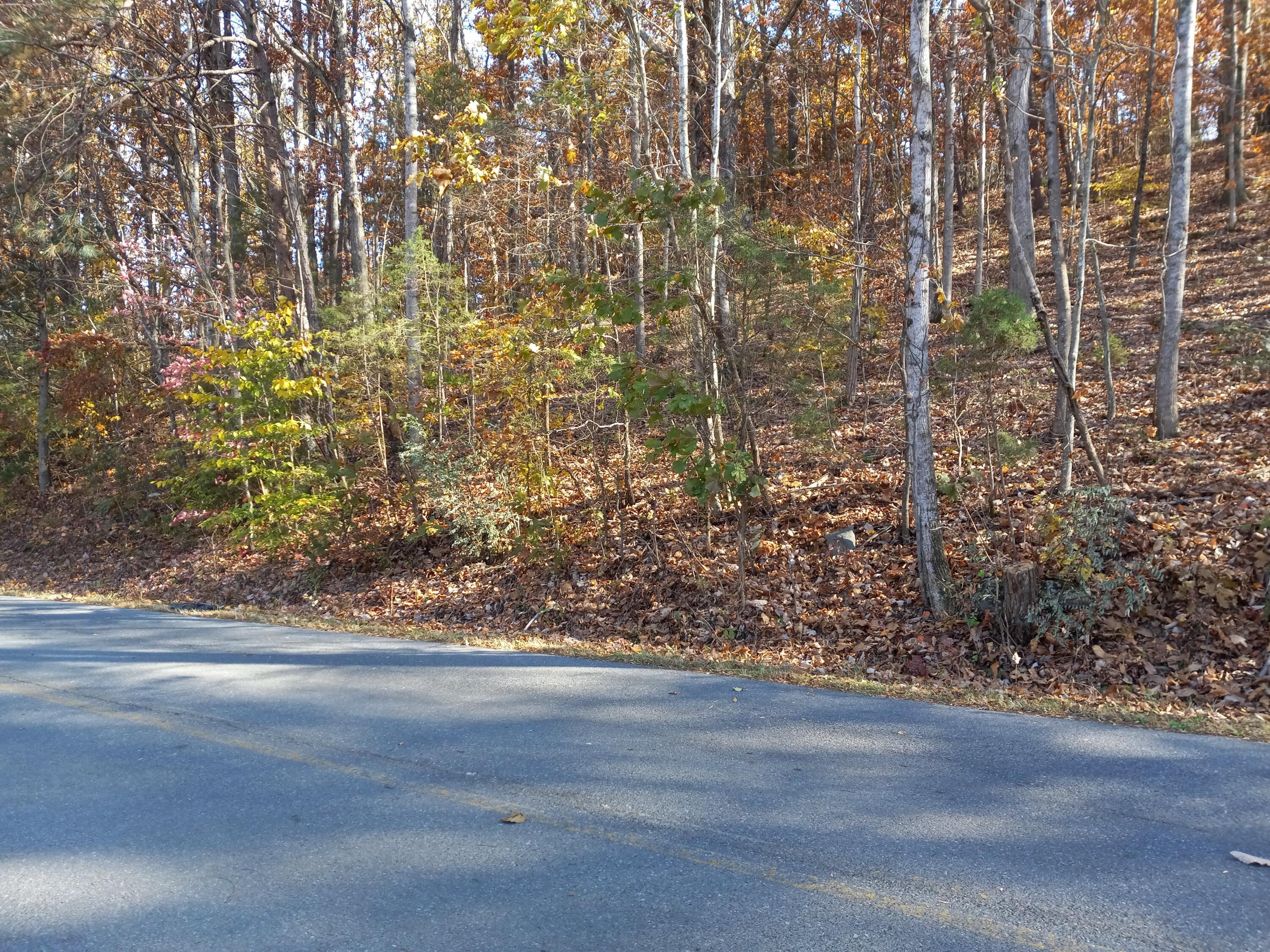 353 Bill West Road, Unit TR4 Limestone, TN 37681 - Photo 28 of 32 20231107_114221